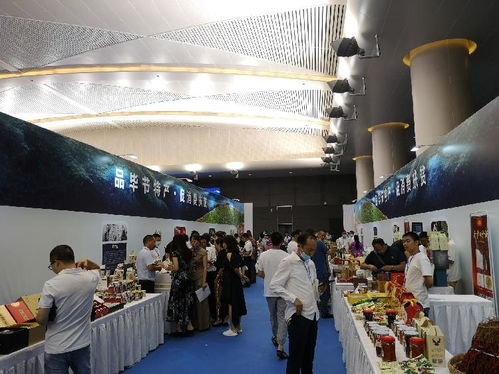 畢節(jié)市來渝舉行旅游推介會 景區(qū)升級、門票優(yōu)惠、精品線路促旅游發(fā)展