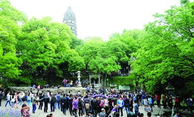 旅游服務(wù)新篇章 以品質(zhì)提升為核心，借力廣告與傳播媒體運(yùn)營(yíng)引客來